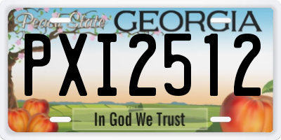 GA license plate PXI2512