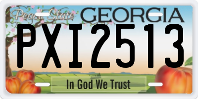 GA license plate PXI2513