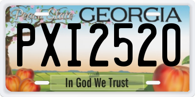 GA license plate PXI2520