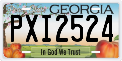 GA license plate PXI2524