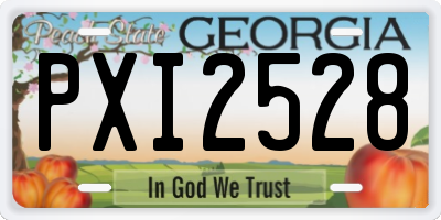 GA license plate PXI2528