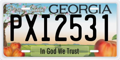 GA license plate PXI2531