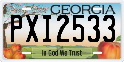 GA license plate PXI2533