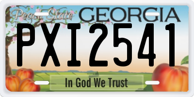 GA license plate PXI2541