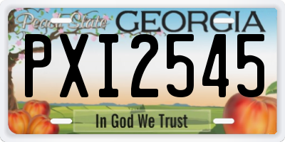 GA license plate PXI2545