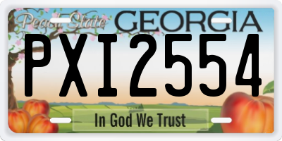 GA license plate PXI2554