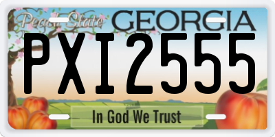 GA license plate PXI2555
