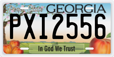 GA license plate PXI2556