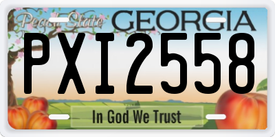 GA license plate PXI2558