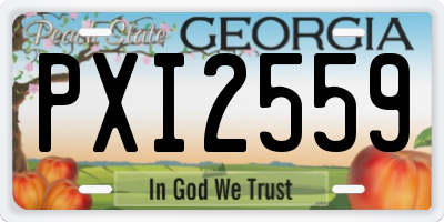 GA license plate PXI2559