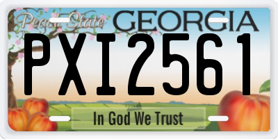 GA license plate PXI2561