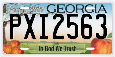 GA license plate PXI2563
