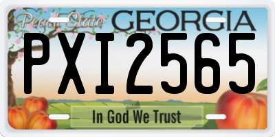 GA license plate PXI2565