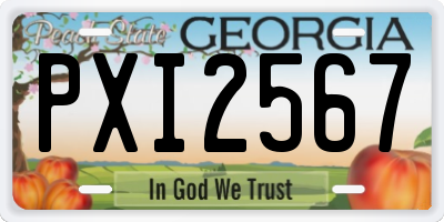 GA license plate PXI2567