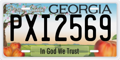 GA license plate PXI2569
