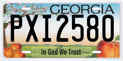 GA license plate PXI2580