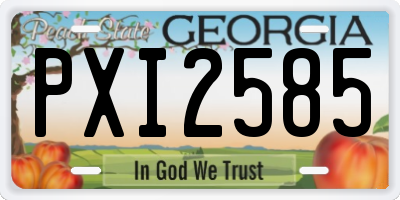 GA license plate PXI2585