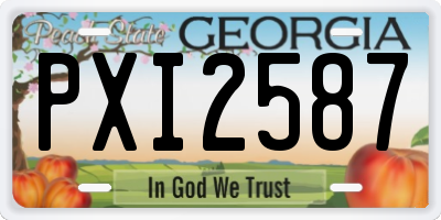 GA license plate PXI2587