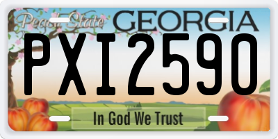GA license plate PXI2590