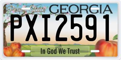 GA license plate PXI2591