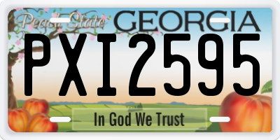 GA license plate PXI2595