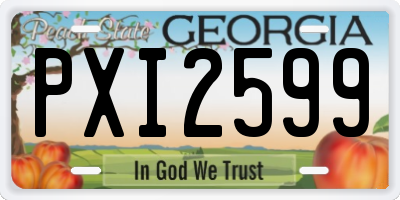 GA license plate PXI2599