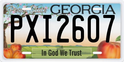 GA license plate PXI2607