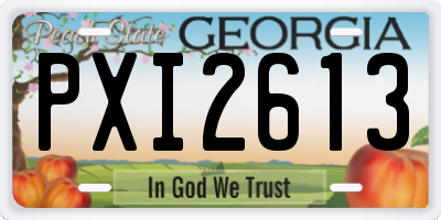 GA license plate PXI2613