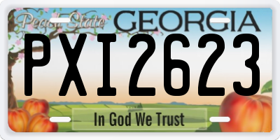 GA license plate PXI2623