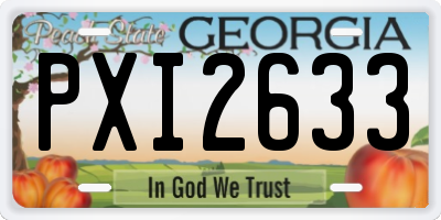 GA license plate PXI2633