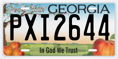 GA license plate PXI2644