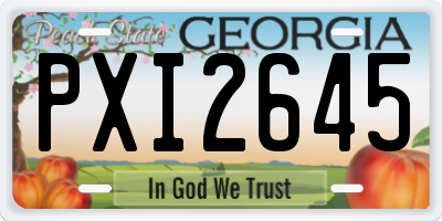 GA license plate PXI2645