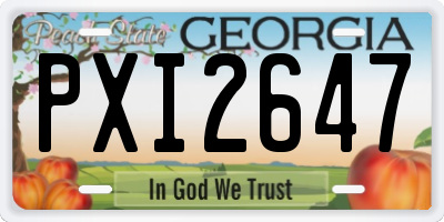 GA license plate PXI2647