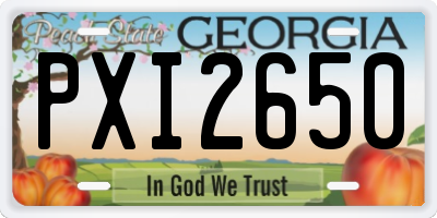 GA license plate PXI2650