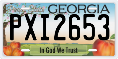 GA license plate PXI2653