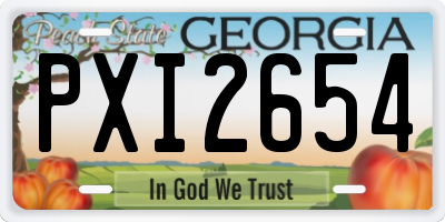 GA license plate PXI2654