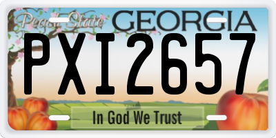 GA license plate PXI2657