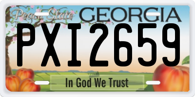 GA license plate PXI2659