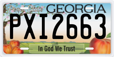GA license plate PXI2663