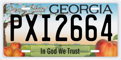 GA license plate PXI2664