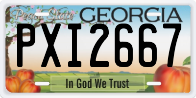 GA license plate PXI2667