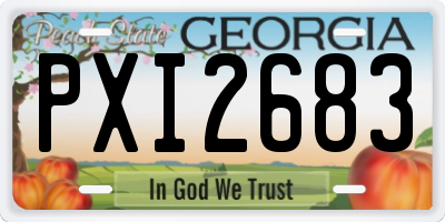 GA license plate PXI2683