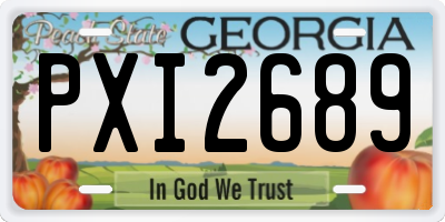 GA license plate PXI2689