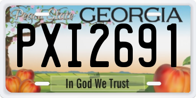 GA license plate PXI2691