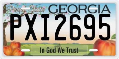 GA license plate PXI2695
