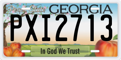 GA license plate PXI2713