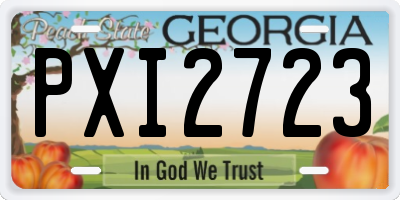 GA license plate PXI2723