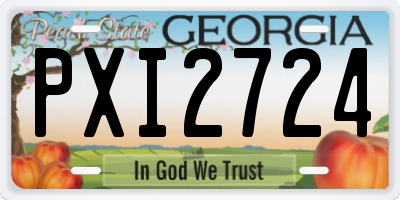 GA license plate PXI2724