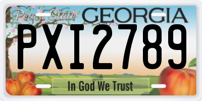 GA license plate PXI2789
