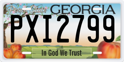 GA license plate PXI2799